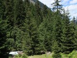 img_2181