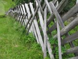 img_0824