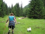 img_8404a