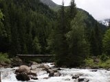 img_8407