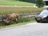 img_8432