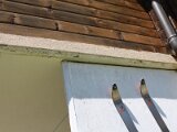 img_8600
