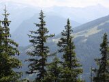 img_8694
