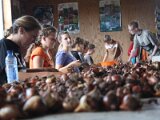img_1984