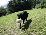img_2178