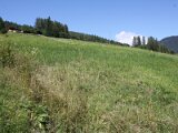 img_2215