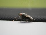 img_2582