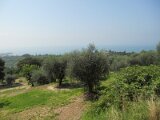 dscn0280