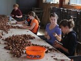 07-23-Mariska-Bollen-Pellen