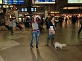 cimg0066