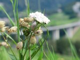 cimg0342