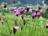 cimg0345