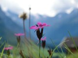 cimg0347