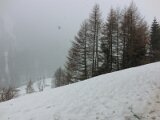cimg0198