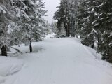 cimg0146