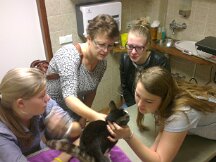 27-09-2014 Minoe laten inslapen