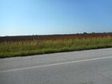 dscn0459
