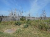 dscn0679