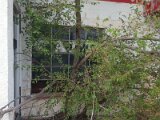 20150904_182422