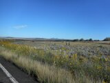 dscn1192