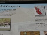 699b-hooverdam