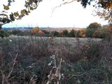 20180918_075409
