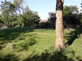 20190606_190253