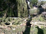 06-06-Stormschade-in-Park-Rondom-Huis