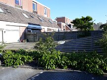 06-06-2019 Stormschade in het park rondom ons huis