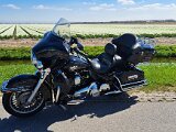 04-19-Fotoshoot-Harley-Davidson-Bloembollen-Tulpen