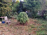 09-23-Tuin-Mama-Onderhoud-Nodig