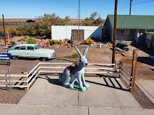 20241004_093532_608_1728059741979_photo_optimized