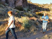 20241009_071700_668_1728483473962_photo_optimized