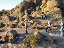 20241009_071734_670_1728483480182_photo_optimized