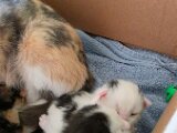 20260524_153051