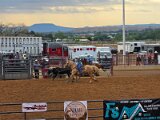 Rodeo
