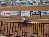 Rodeo