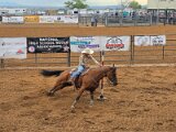 Rodeo