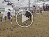 Rodeo