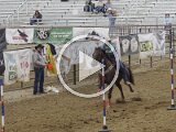 Rodeo