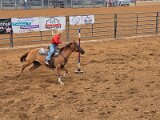 Rodeo