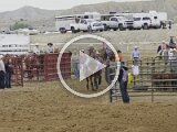Rodeo