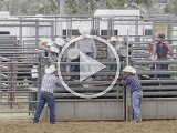 Rodeo