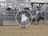 Rodeo