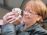 05-14-Onze-Nieuwe-Aanwinst-Kat-Moos